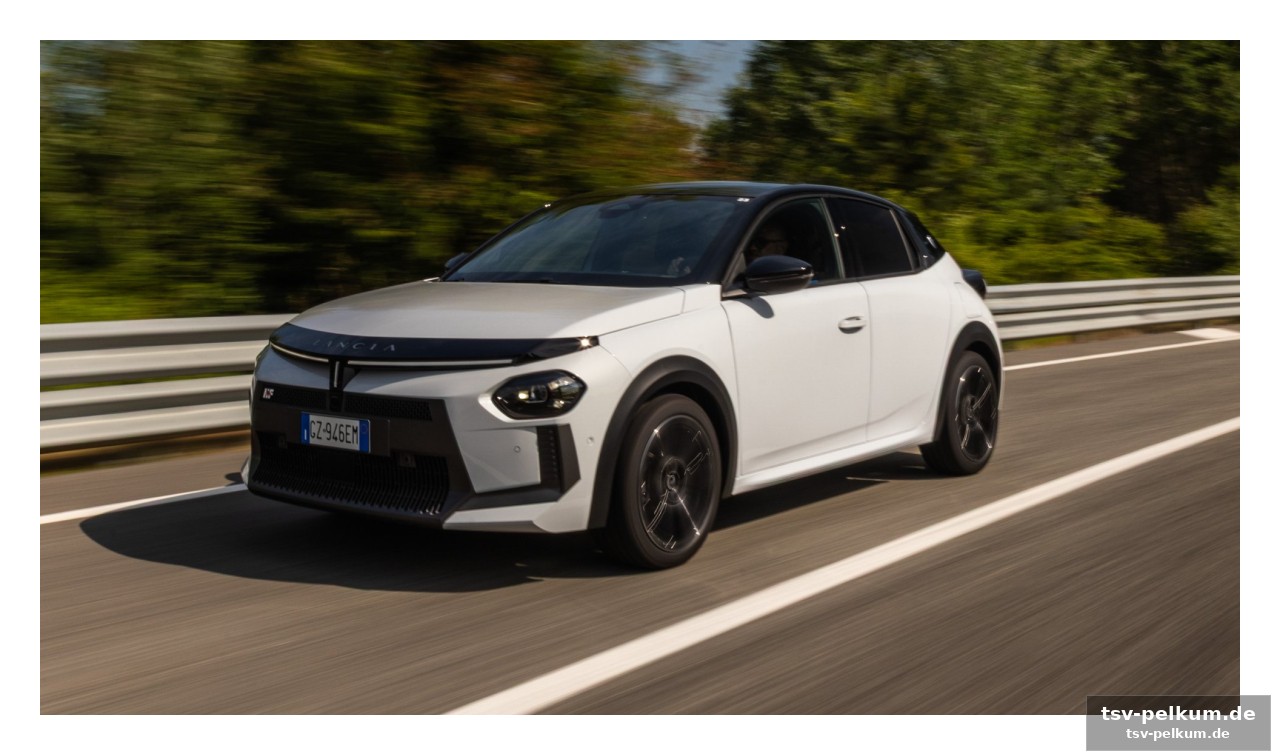 Ein hybrid mit herz und charakter