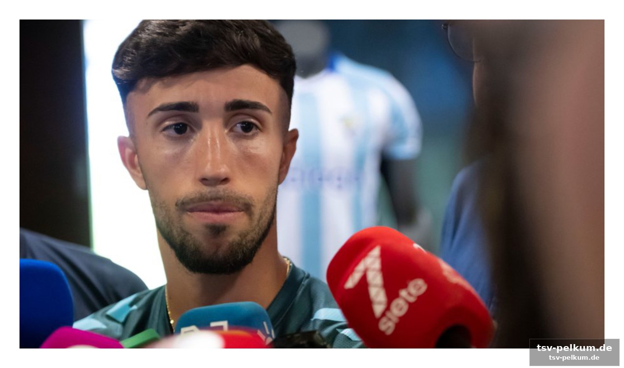 Die playoffs: eine chance für den fc malaga