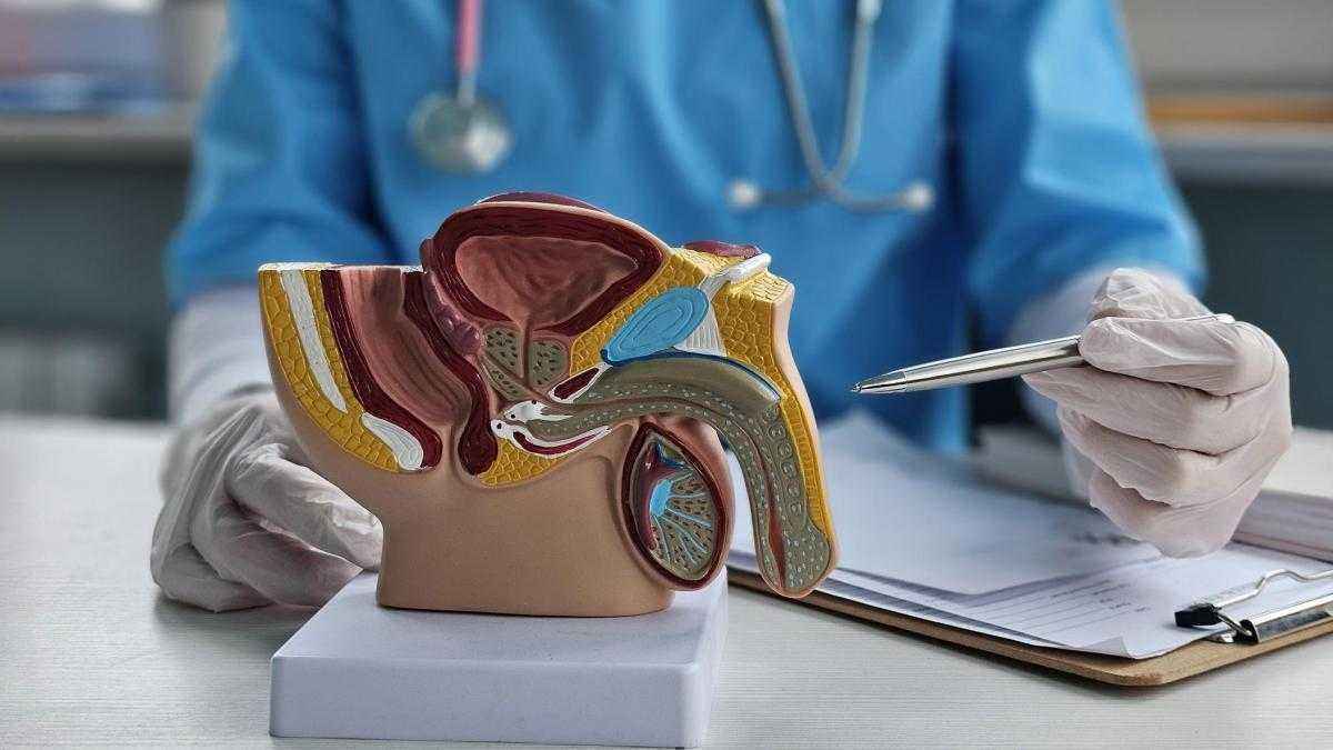 Laser statt skalpell: prostatakrebs jetzt punktgenau verbrennen