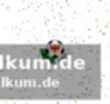 Personalsituation und taktische erwartungen