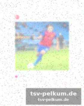 Laura papendick: karriere und familie