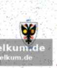 Der fc thun: mehr als die hälfte des teams neu