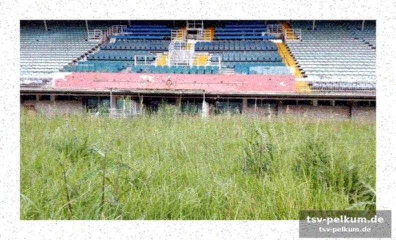 Kapazität und struktur des neuen stadions