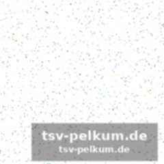 Maldini junior wird zur notlösung im sturm