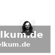 Die lmp2 und lmgt3 klassen im überblick