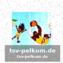 Die opfer eines champions