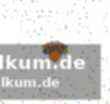 Die all-stars der western conference