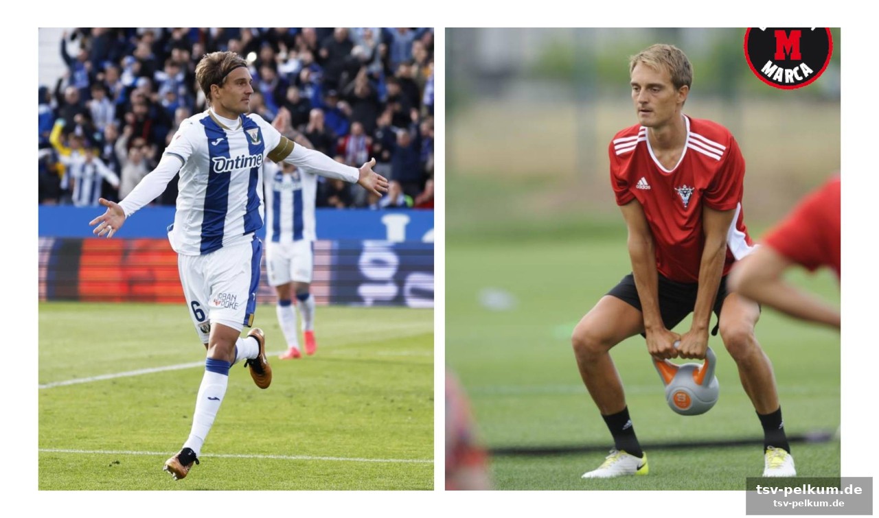 Arabische liga als mentale stärkung