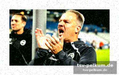 Weitere sanktionen in der championship: sheffield wednesday