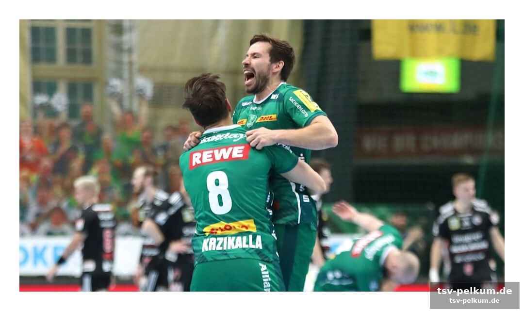 Löwen demontieren melsungen