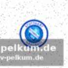 Rubins weg in die bundesliga