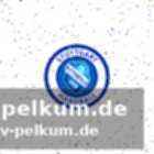 Eine beeindruckende karriere in der handball-bundesliga