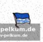 Leitl sucht nach der idealen besetzung