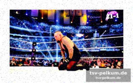 Vince mcmahons entscheidung und der wunsch nach roman reigns
