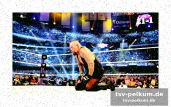 Ein wunsch nach roman reigns statt lesnar