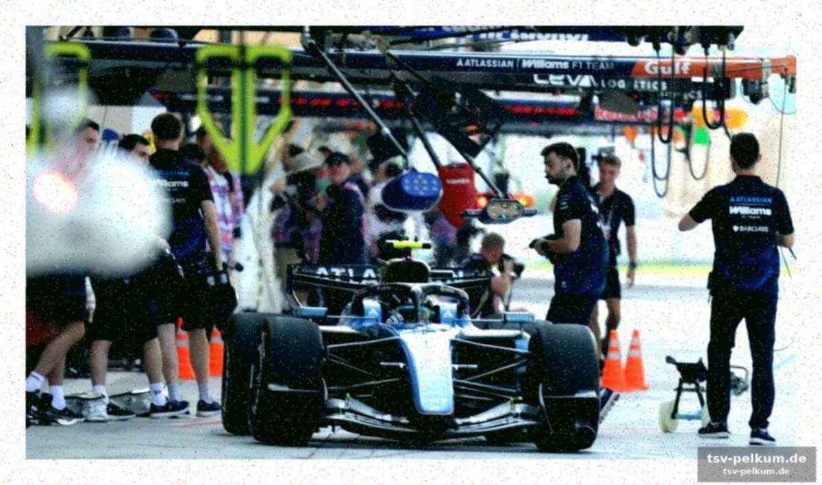 Carlos sainz und williams: fokus auf die rennsimulation