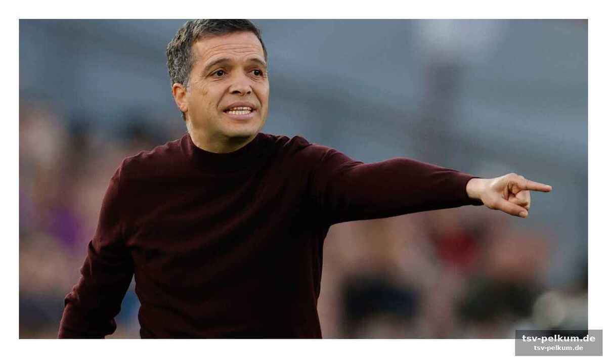 Die fans als sechster spieler – castro appelliert an die unterstützung