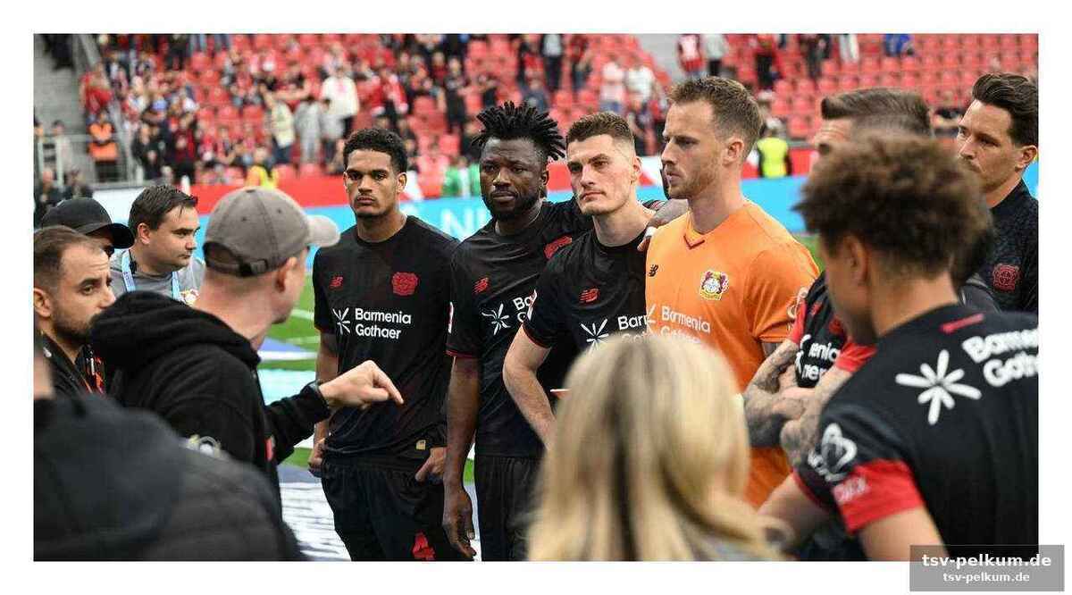 Die fans fordern: „zeigt uns, was ihr drauf habt!“