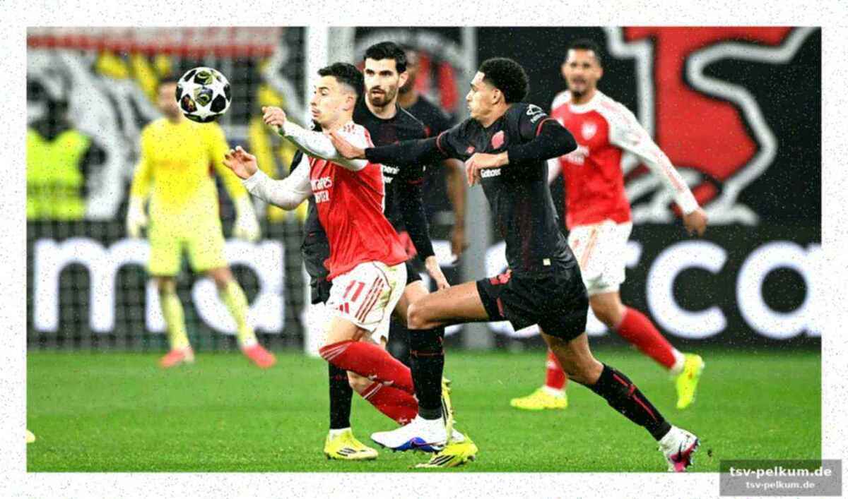 Champions-league-geld oder saison-flop