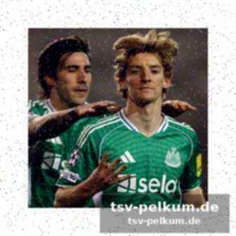Champions league: der weg ins achtelfinale ist geebnet