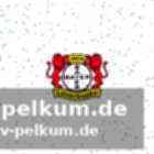Terrier und hofmann zurück im kader