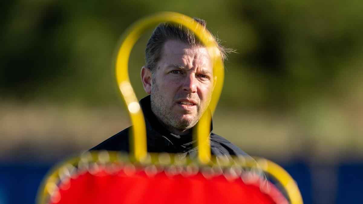 Lilien bereiten sich vor: allgäu ruft!