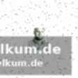 Der dramatische sturz – nur 13 sekunden im rennen