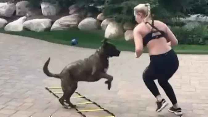 Lindsey vonn trauert um ihren geliebten hund leo – bewegendes video auf instagram