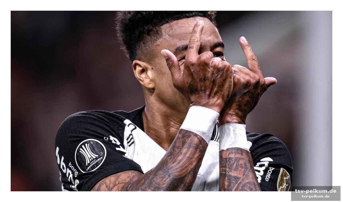Eine ungewöhnliche ankunft in brasilien