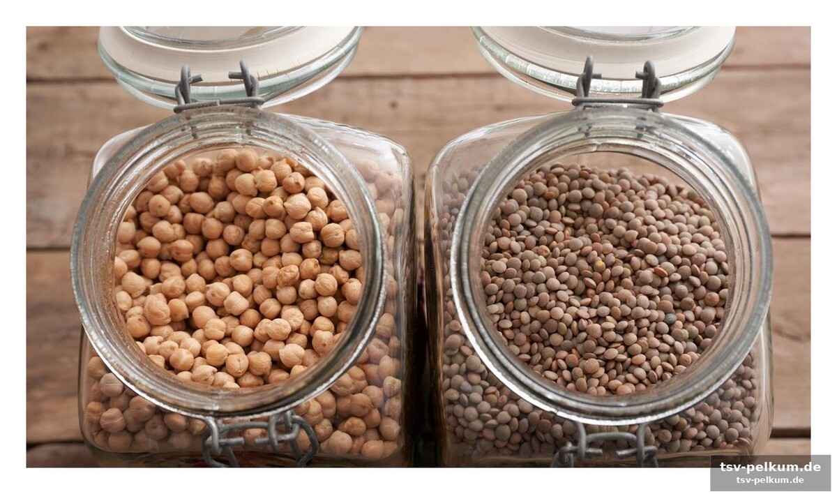 Die protein-bilanz: wer geht als sieger hervor?