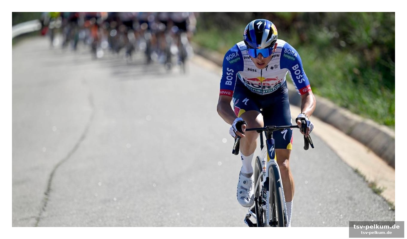 Evenepoel als frontmann, lipowitz als wingman?