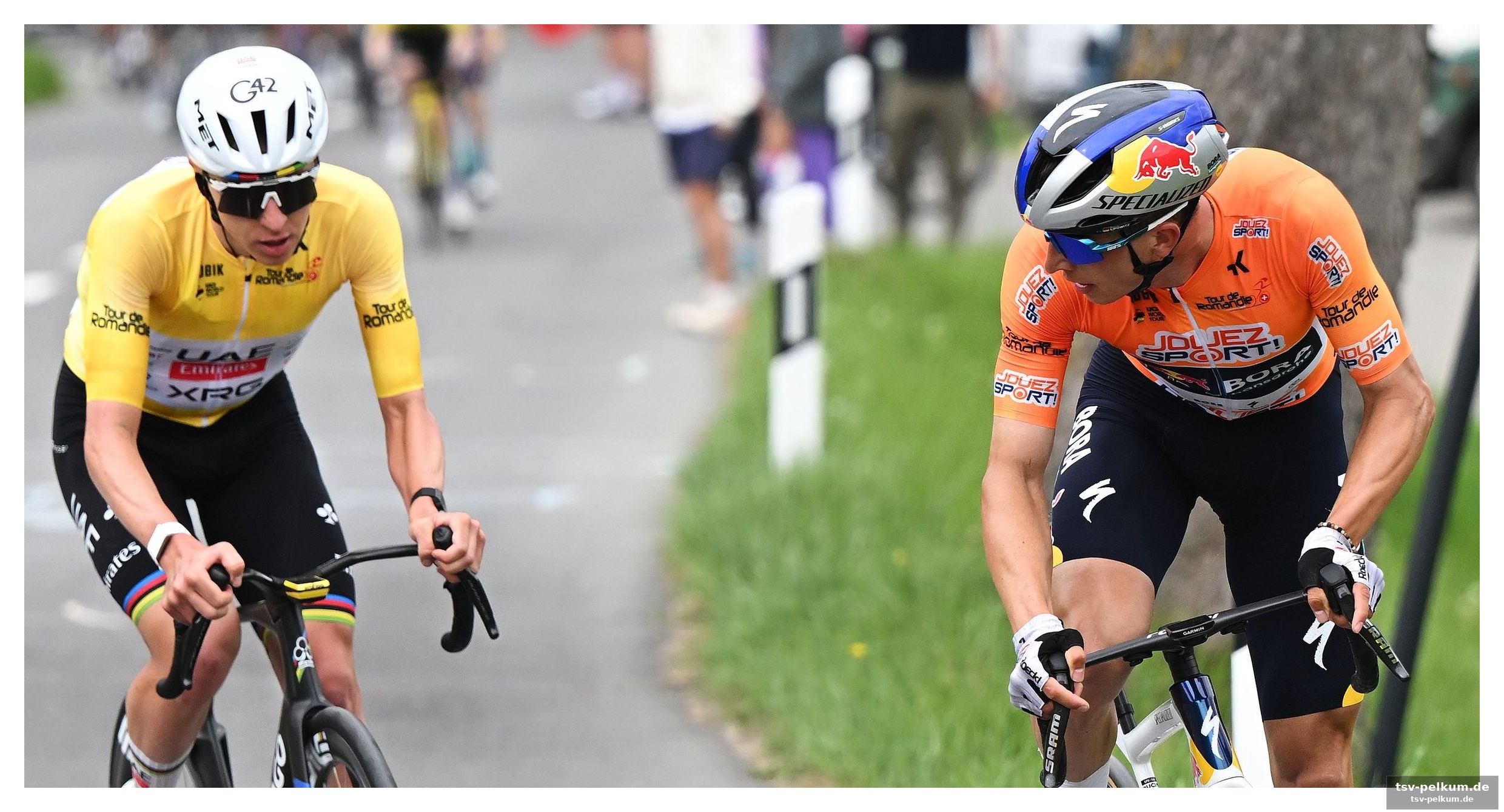Red bull-team: lipowitz als klare nummer eins