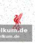 Xabi alonso im fokus