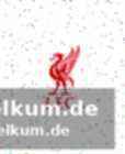 Xabi alonso im fokus