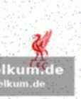 Xabi alonso als möglicher nachfolger