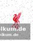 Xabi alonso im fokus
