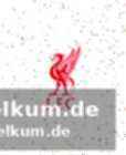 Xabi alonso im fokus?