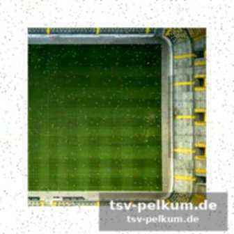 Reaktion von arne slot