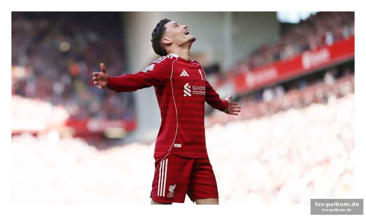 Reds auf der suche nach bestform