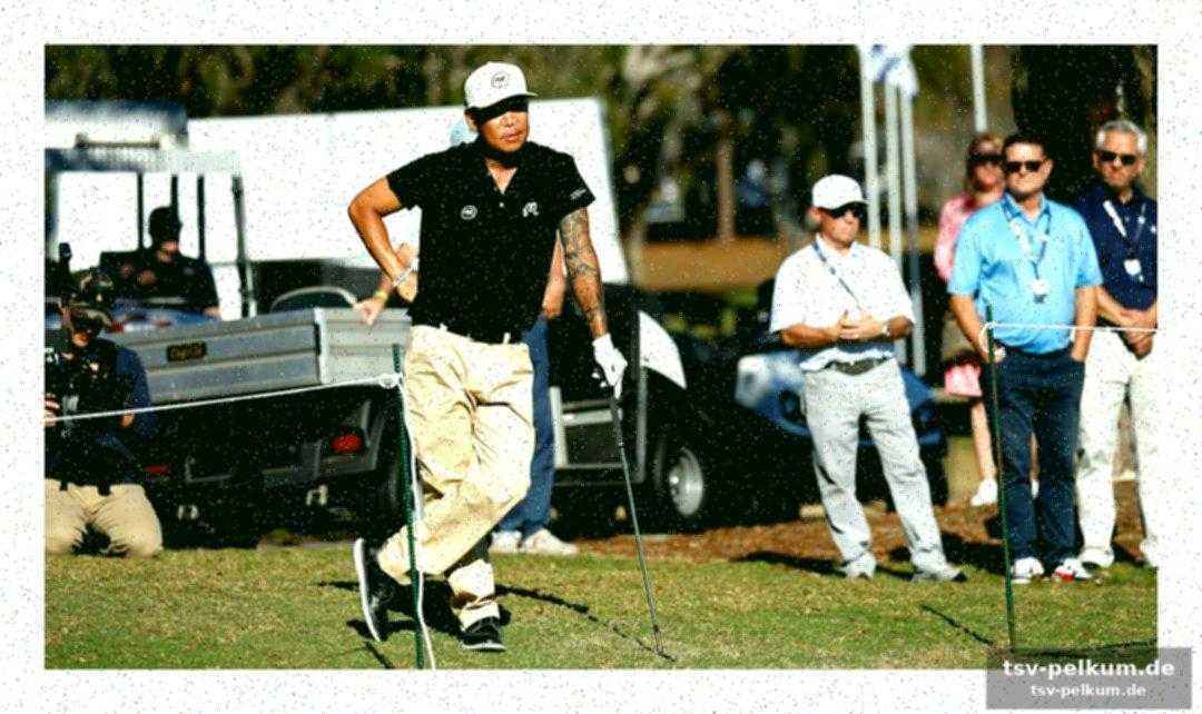Die entscheidung der owgr