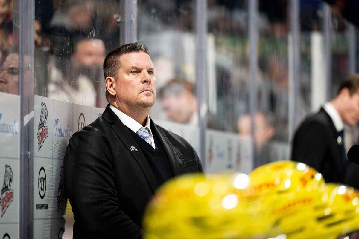 Löwen frankfurt: neustart nach olympia – playoff-hoffnungen oder endspurt im niemandsland?