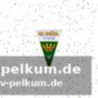 Reaktionen und zukunftsperspektiven