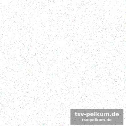 Maurizio salvadori treibt das projekt voran