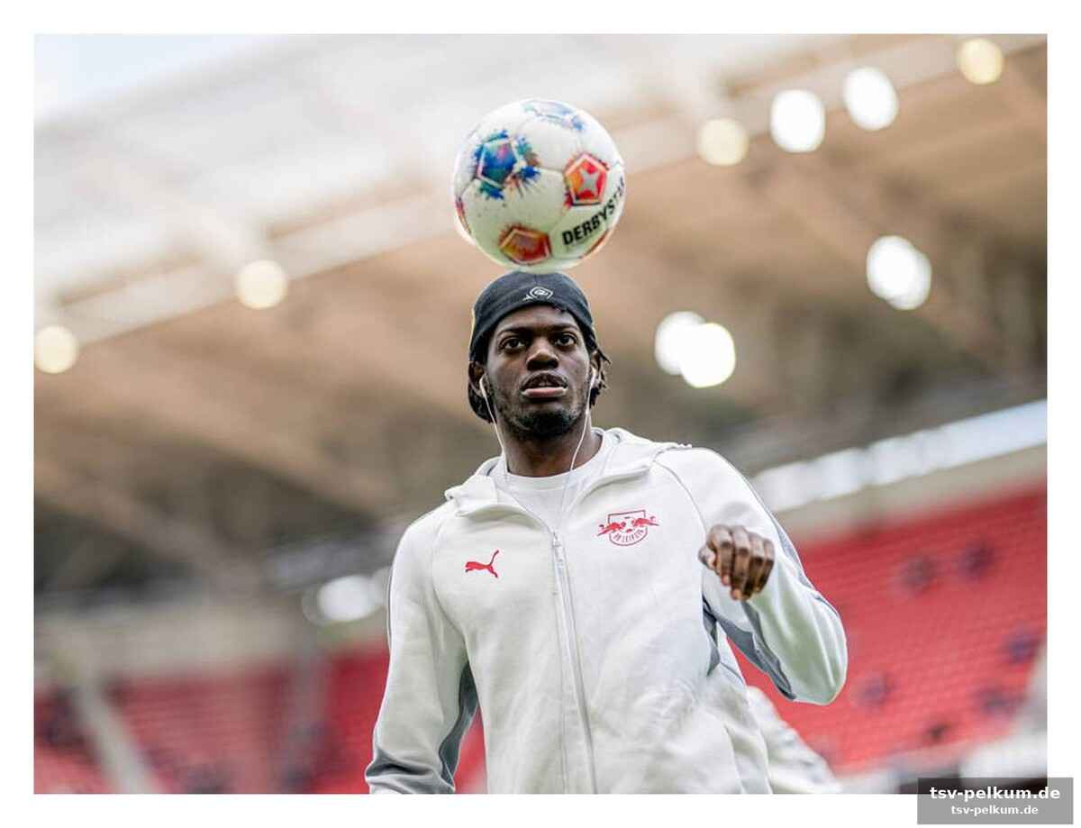 Champions-league-fieber und die frage der zukunft