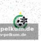 Aktuelle nachrichten von maccabi haifa