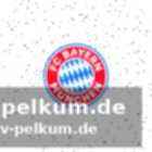 Spielplan und ergebnisse
