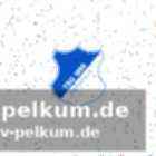 Die tsg hat die lücke längst gestopft