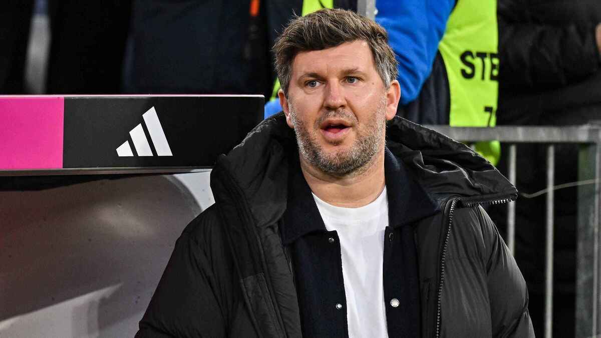 Machtkampf in hoffenheim: droht der tsg der kollaps?