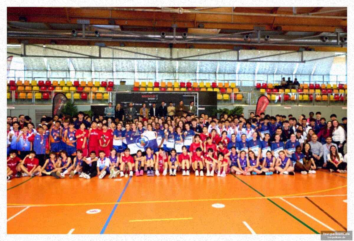 Mehr als nur basketball: werte und teamgeist