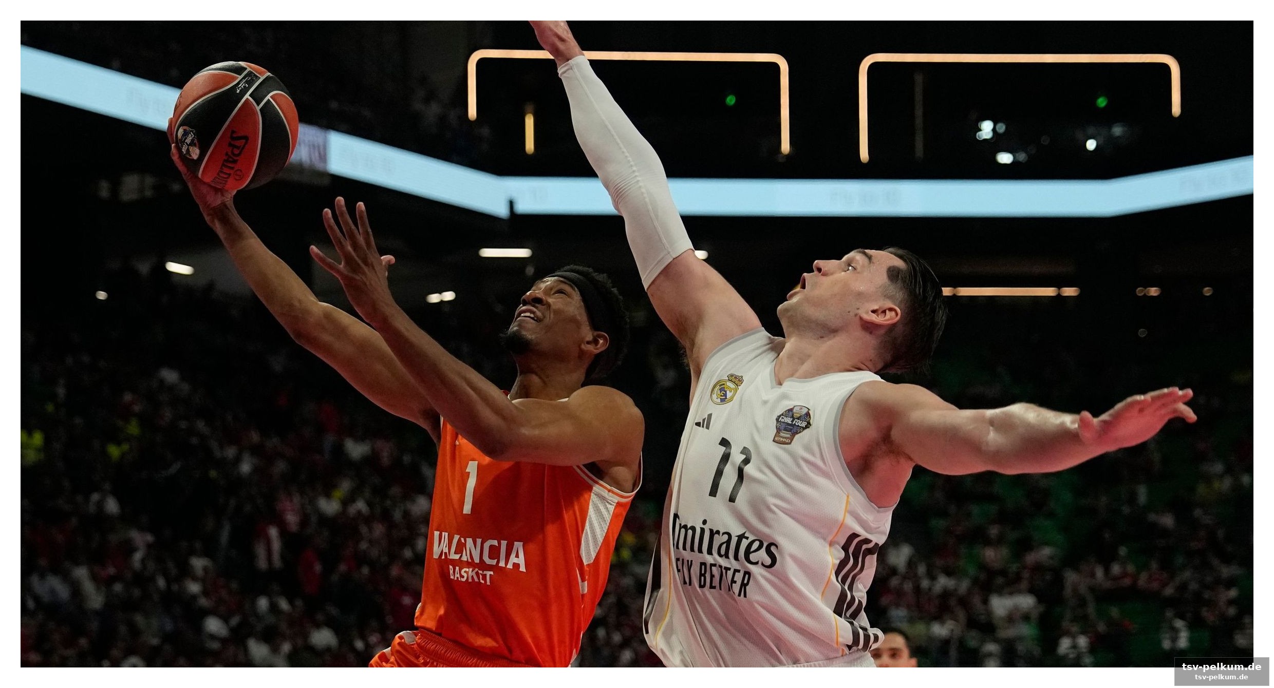 Olympiakos piräus schaltet fenerbahce istanbul aus